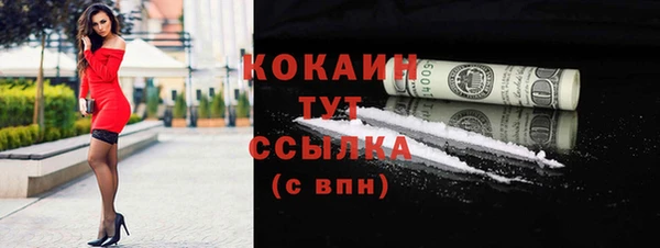 метадон Инта