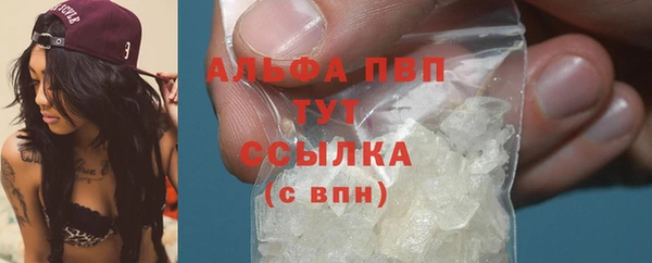 метадон Инта