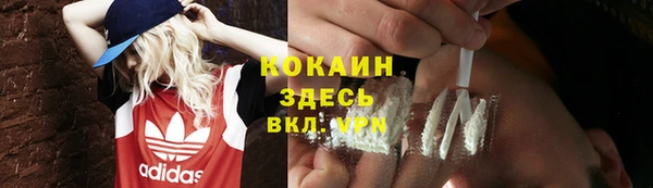 метадон Инта