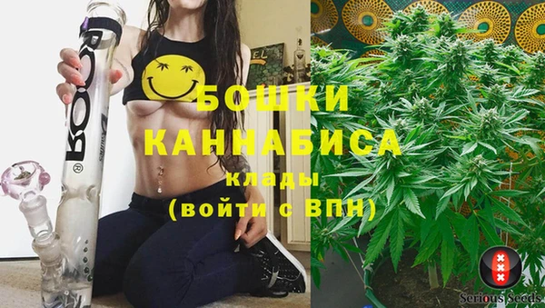метадон Инта