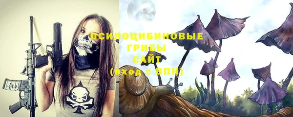 метамфетамин Каменка