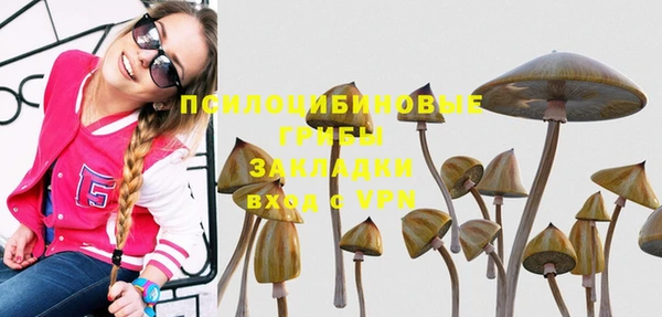 метадон Инта