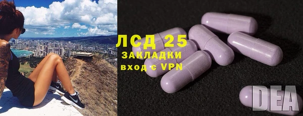 ALPHA PVP Инсар