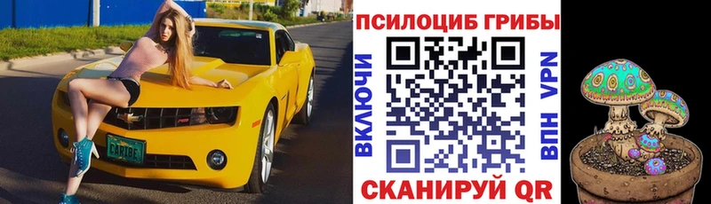 Галлюциногенные грибы MAGIC MUSHROOMS  Купить где  Мичуринск 